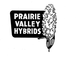 PRAIRIE VALLEY HYBRIDS
