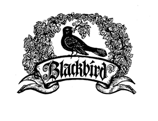 BLACKBIRD
