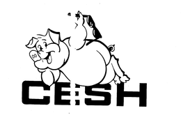 CESH trademark