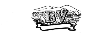 BV trademark