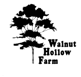 WALNUT HOLLOW FARM