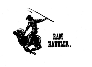 RAM HANDLER.