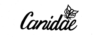 CANIDAE