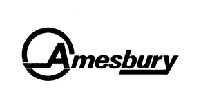 AMESBURY trademark