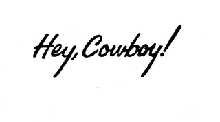 HEY, COWBOY! trademark