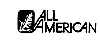 ALL AMERICAN trademark