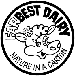 FARBEST DAIRY NATURE IN A CARTON