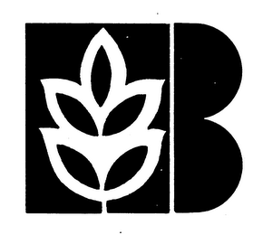 B trademark