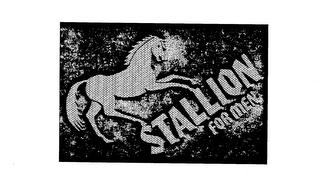 STALLION FOR MEN