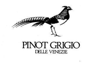 PINOT GRIGIO DELLE VENEZIE