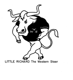 WS LITTLE RICHARD THE WESTERN STEER