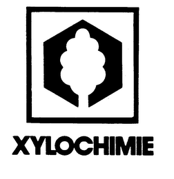 XYLOCHIMIE trademark