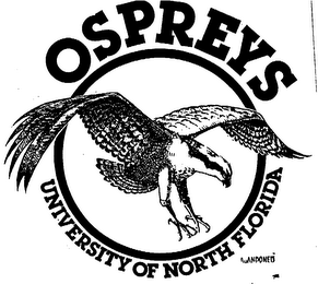 OSPREYS