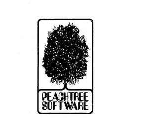 PEACHTREE SOFTWARE