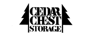 CEDAR CHEST STORAGE