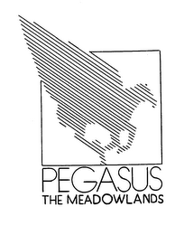 PEGASUS THE MEADOWLANDS