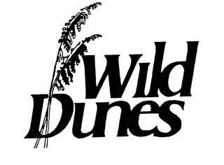 WILD DUNES trademark