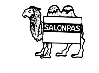 SALONPAS trademark