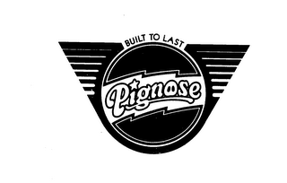 PIGNOSE BUILT TO LAST