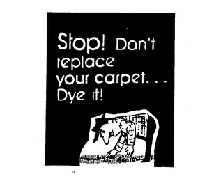 STOP! DON'T REPLACE YOUR CARPET...DYE IT!