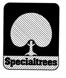SPECIALTREES trademark