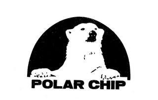 POLAR CHIP
