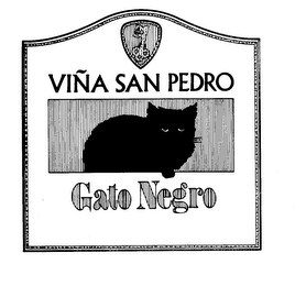 VINA SAN PEDRO GATO NEGRO