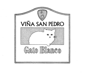 GATO BLANCO VINA SAN PEDRO