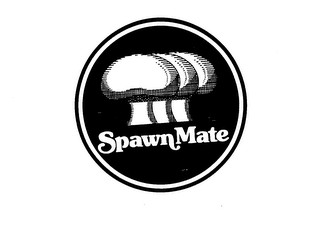 SPAWN MATE