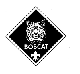 BOBCAT trademark