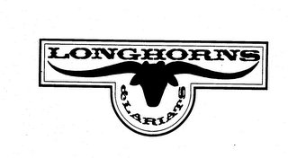 LONGHORNS & LARIATS