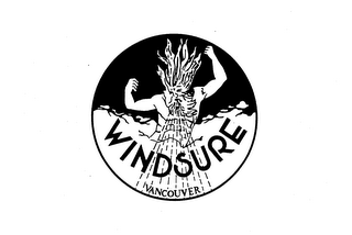 WINDSURE