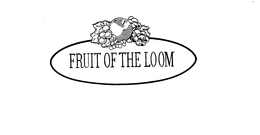 FRUIT OF THE LOOM