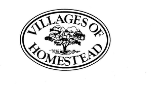 VILLAGES OF HOMESTEAD