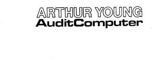 ARTHUR YOUNG AUDIT COMPUTER