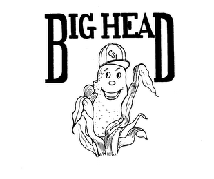 BIG HEAD CSI trademark