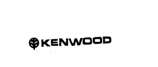 KENWOOD trademark