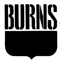 BURNS