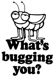 WHAT'S BUGGING YOU?