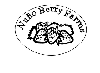 NUNO BERRY FARMS trademark