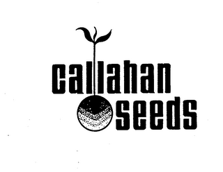 CALLAHAN SEEDS