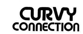 CURVY CONNECTION