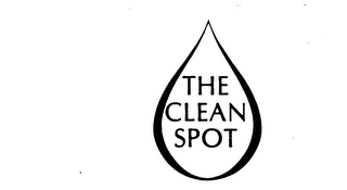 THE CLEAN SPOT