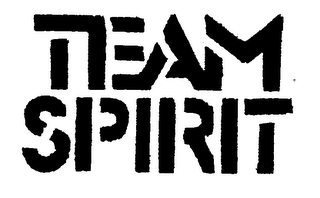TEAM SPIRIT trademark