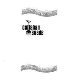 CALLAHAN SEEDS