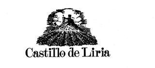 CASTILLO DE LIRIA