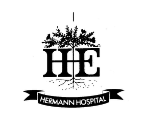 HE HERMANN HOSPITAL