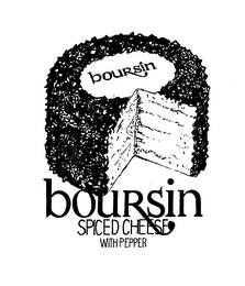 BOURSIN BOURSIN SPICED CHEESE WITH PEPPER