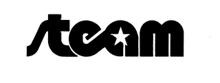 STEAM trademark