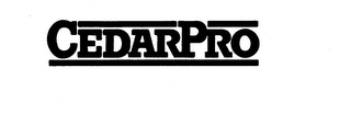 CEDARPRO trademark